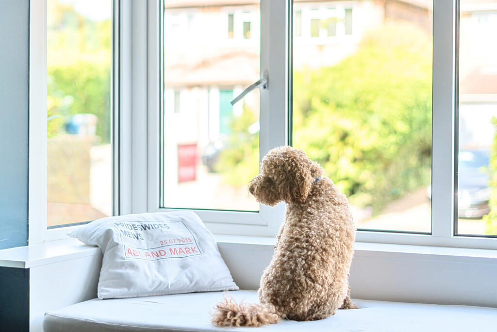 1310583-12-685040...