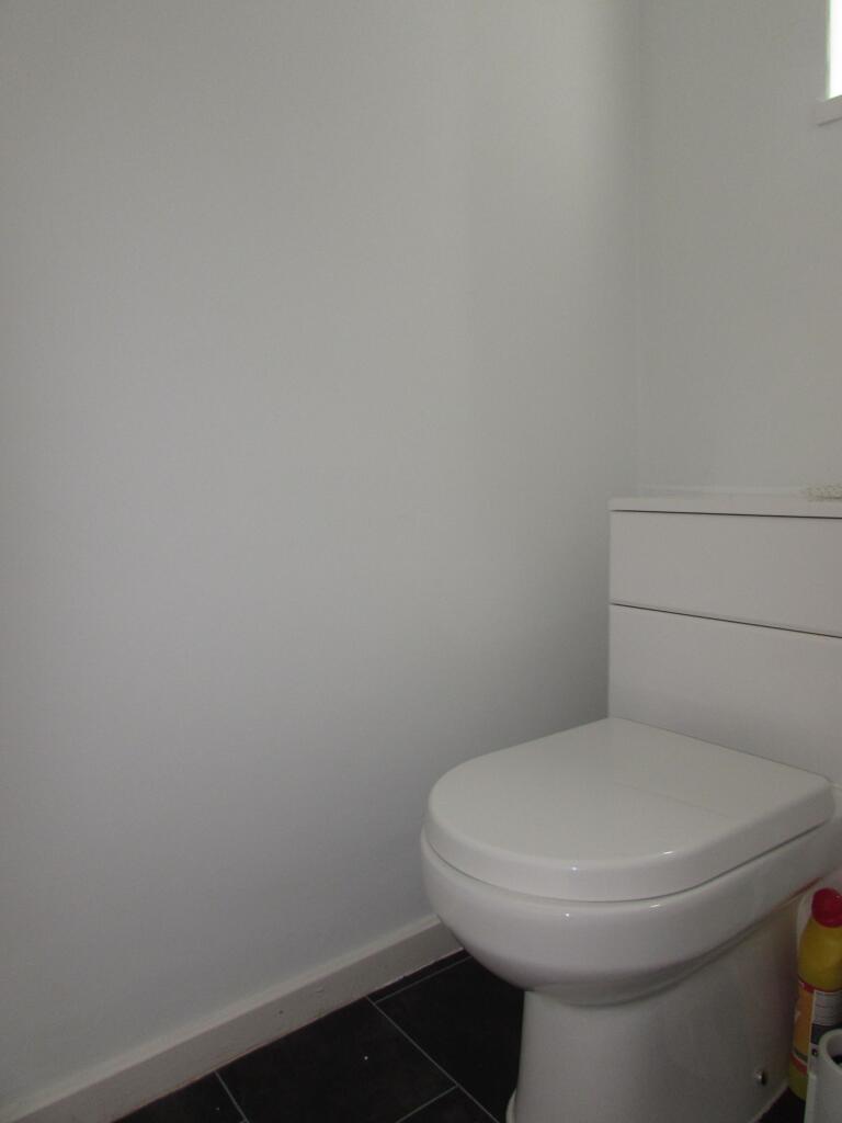 Photograph 7