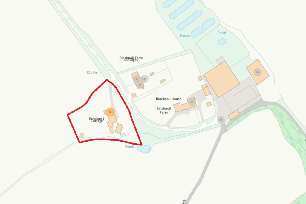 The Plot
