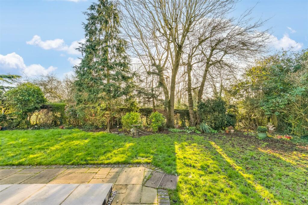 Pear Tree Dell 11-29.jpg