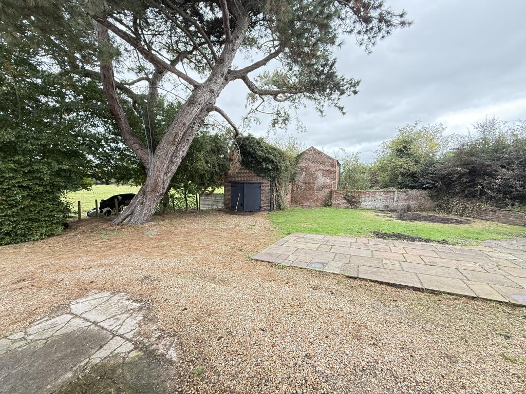 IMG 1562 T202510021307.jpg