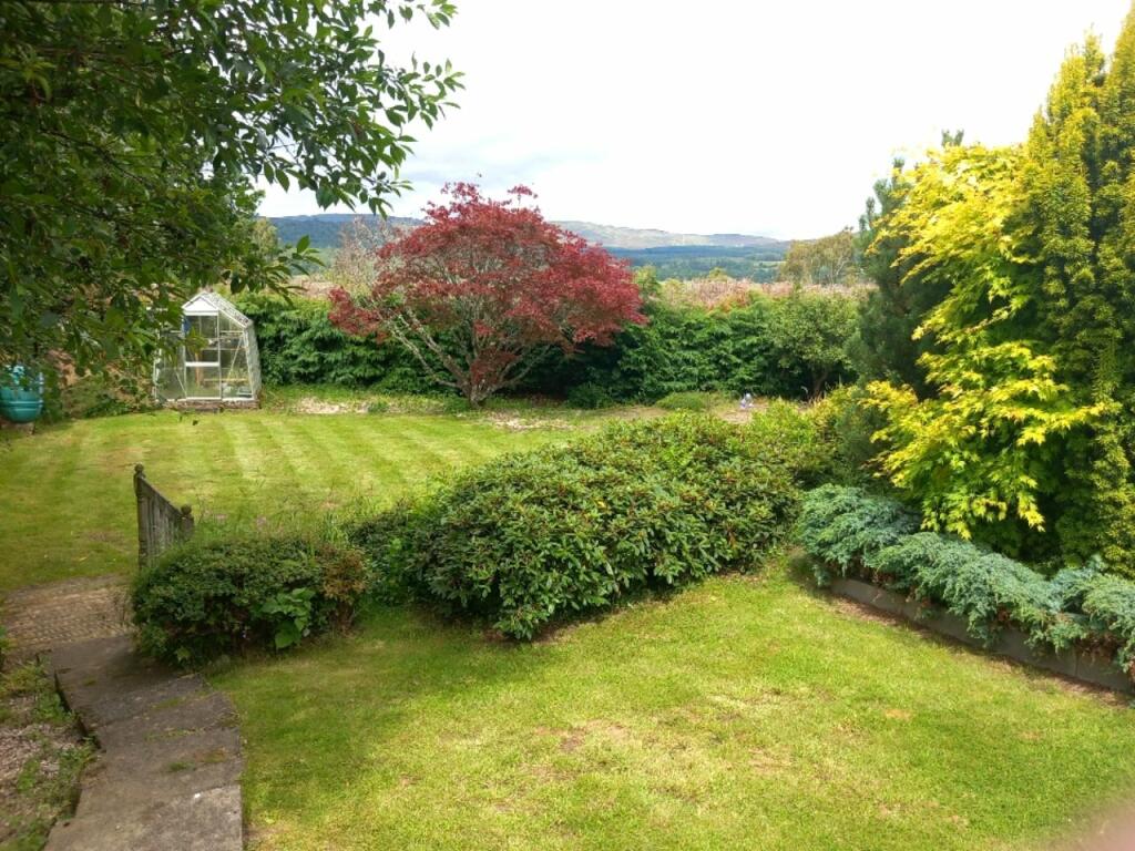 Back Garden
