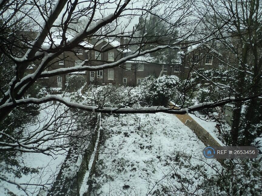 View From Second Bedroom