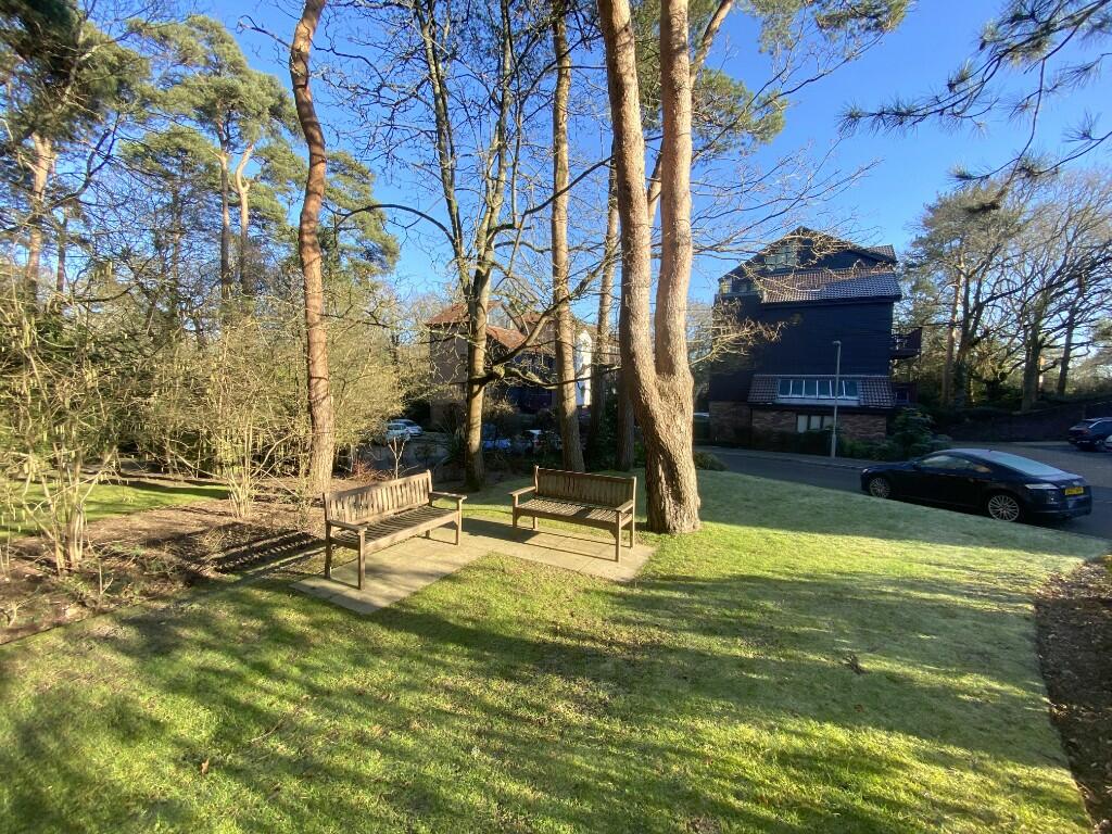 Grounds