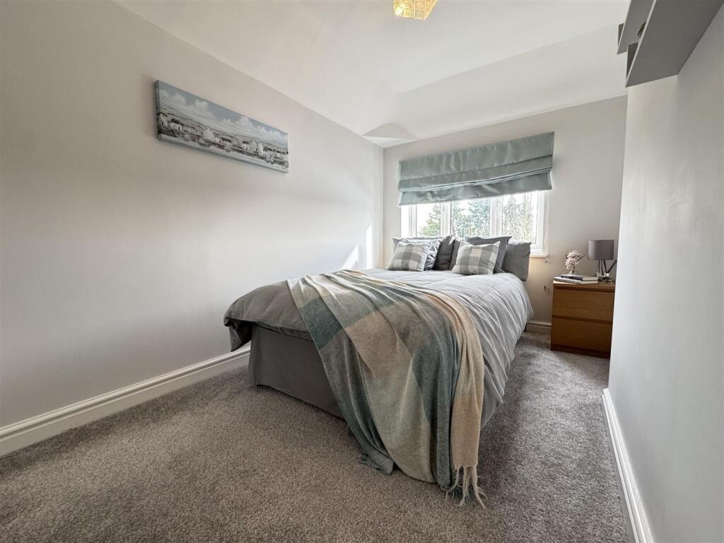 IMG_6357 (Large).JPG