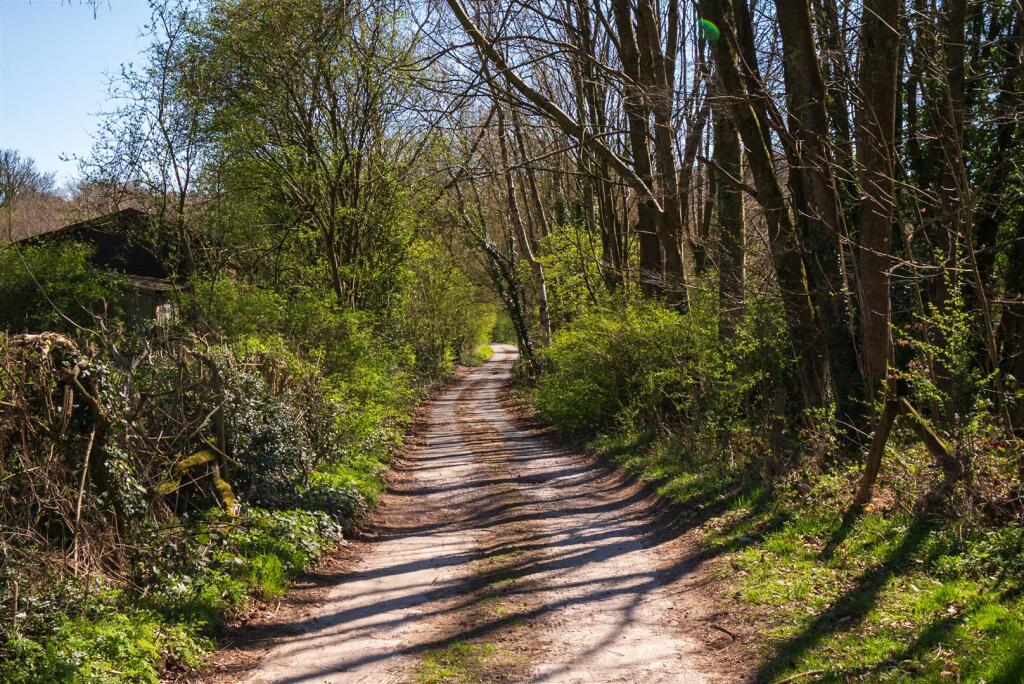 DSC_7093.jpg
