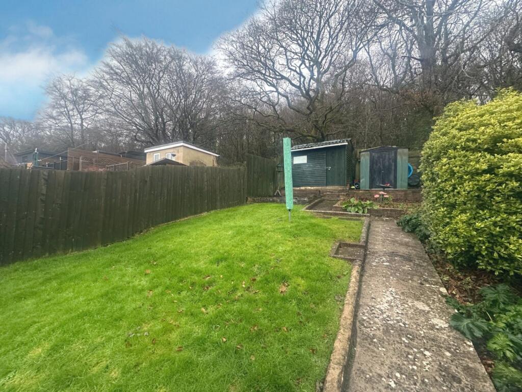 PHOTO-2025-01-23-17-55-05 28