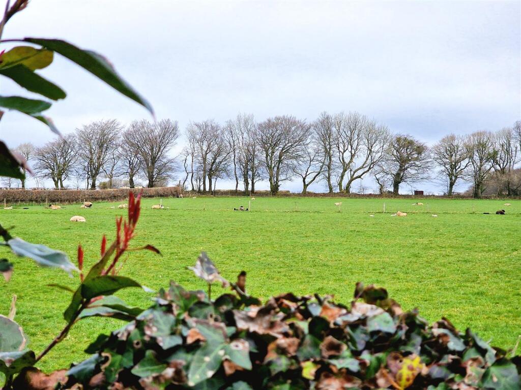 Adjoining Farmland.jpg