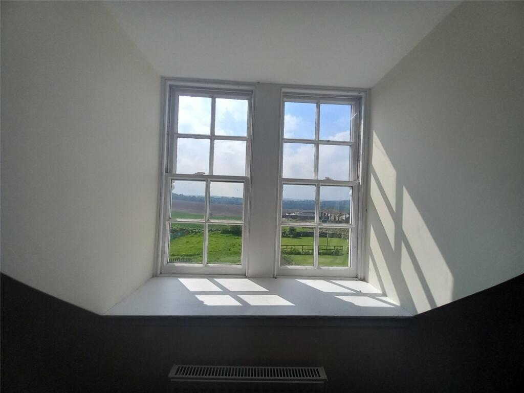Window