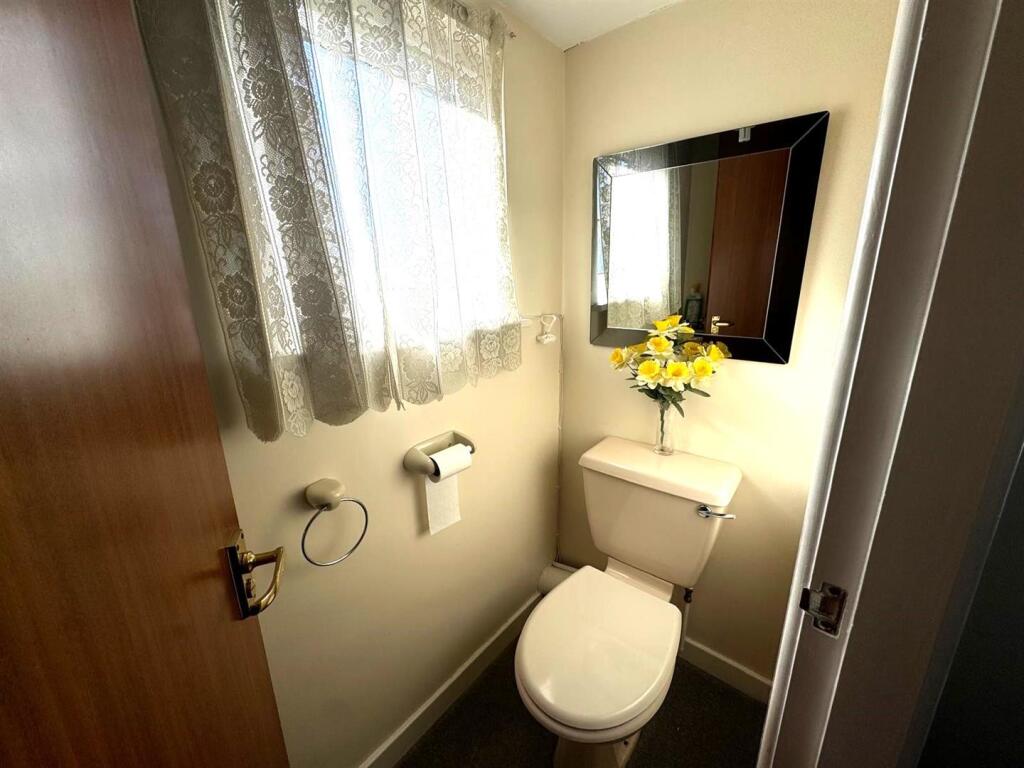 PHOTO-2025-03-06-15-36-25 2.jpg