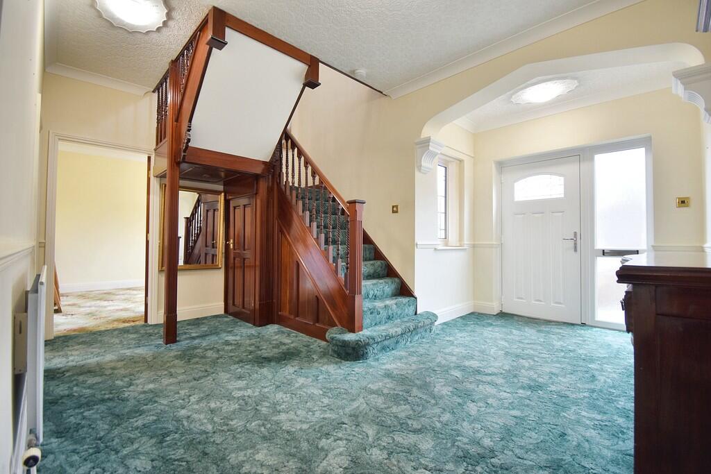 college street (6...