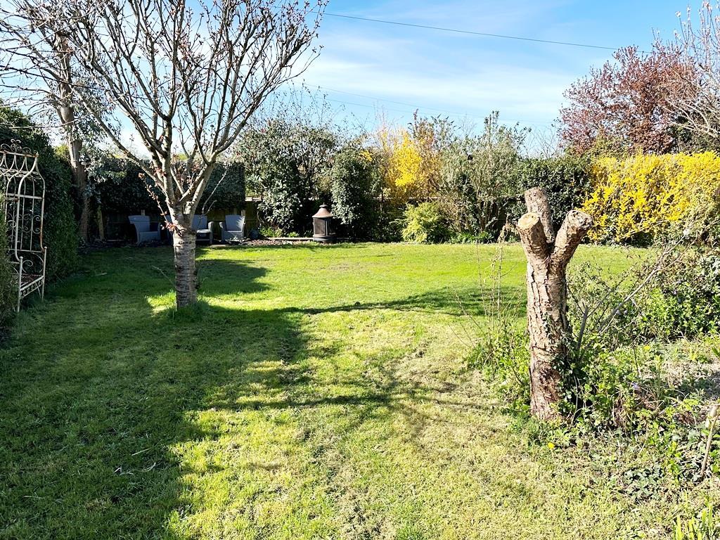 Garden(3).jpeg