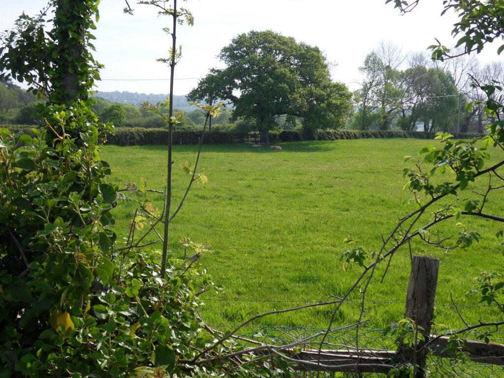 SDC10715.JPG