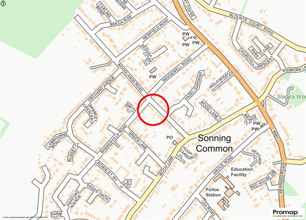 Promap-3120665-3218345-750400-1.png