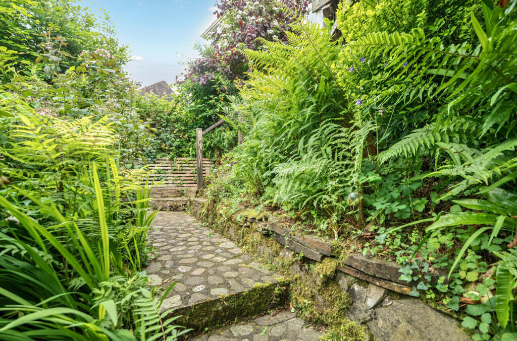 Garden Path &amp; Shrubs