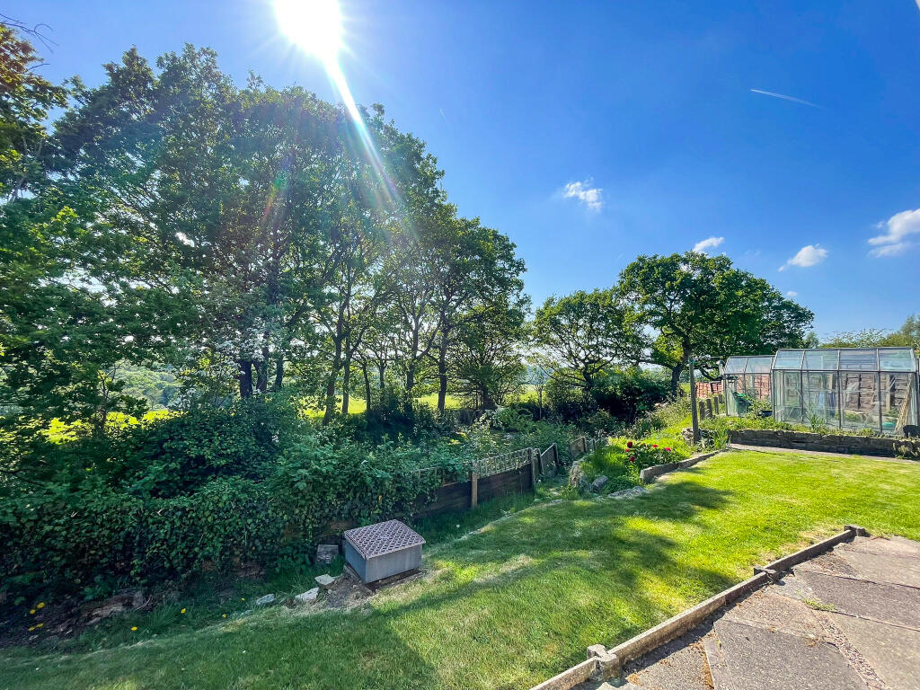 III.jpg