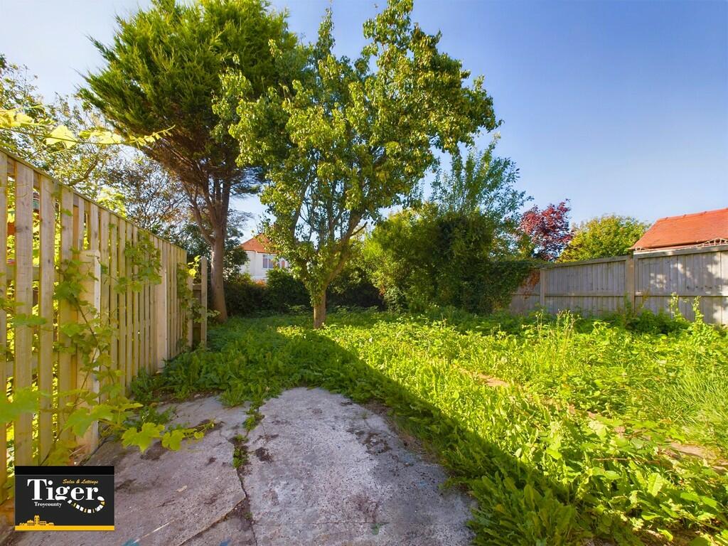 CAM03440G0-PR0137...