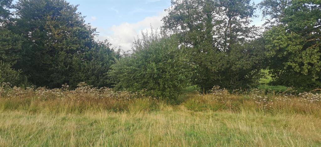 Lot 1 Northern Field Near River