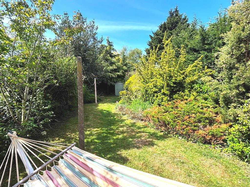 Garden.JPG