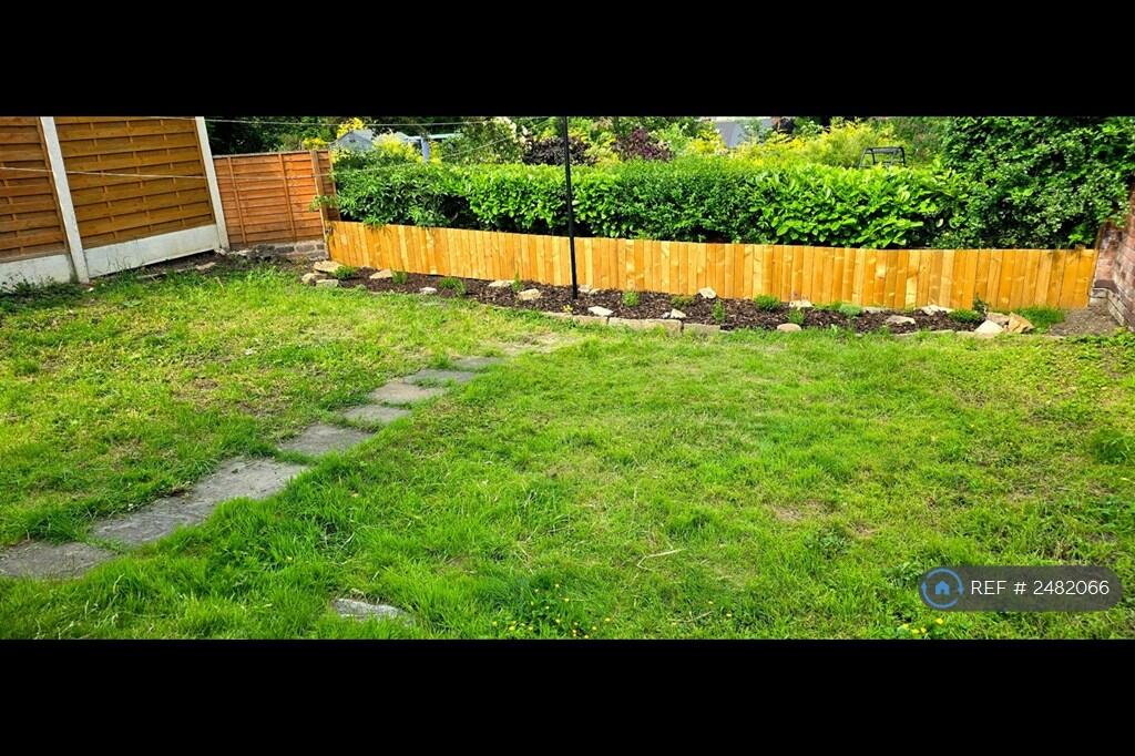 Back Garden