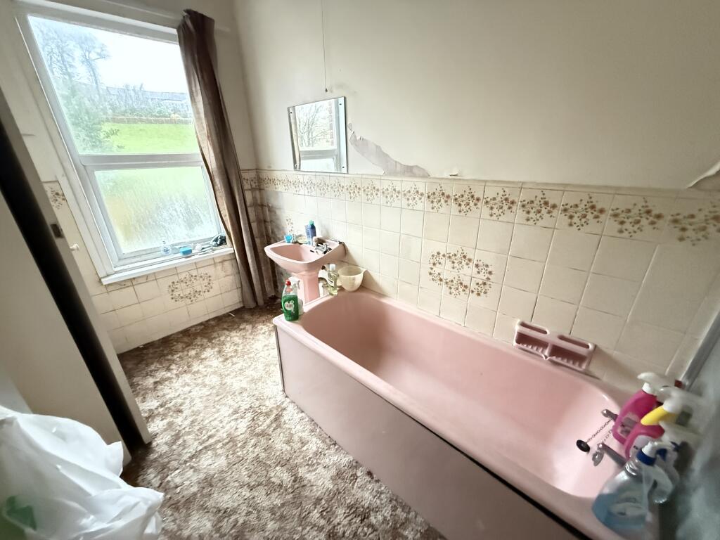 IMG 2023 T202511131557.jpg