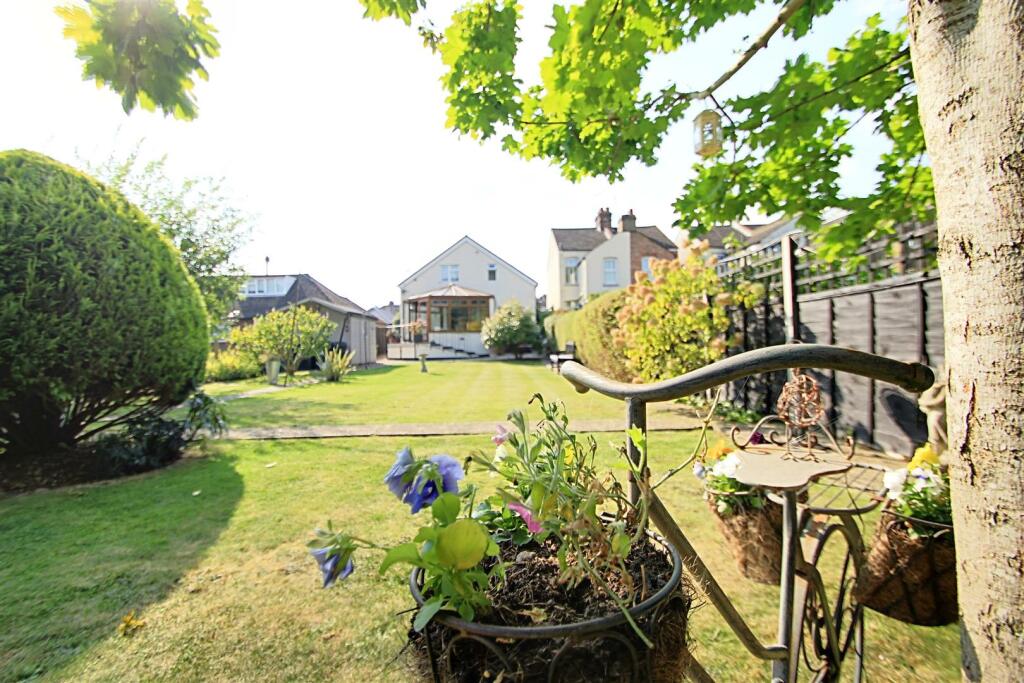 Garden 4.jpg
