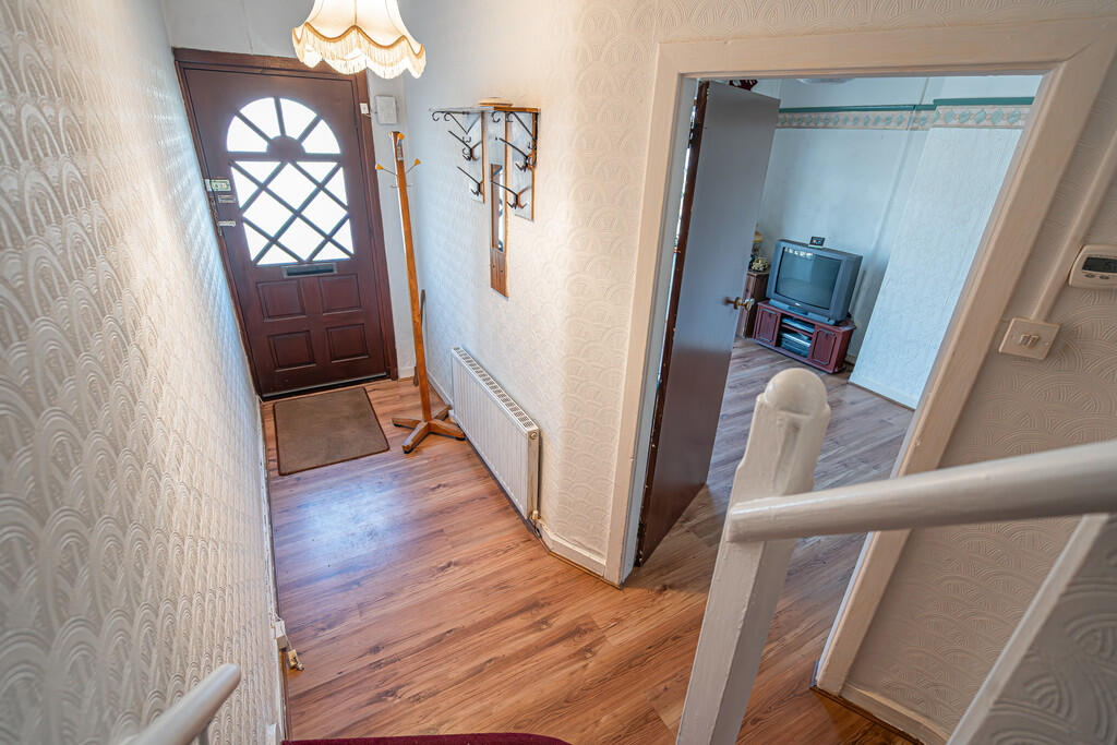 20250403-DSC03588...