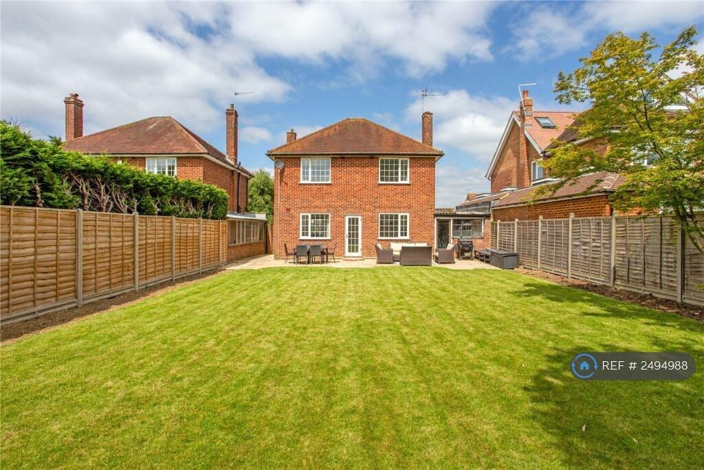 South Facing Garden