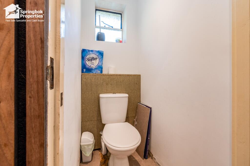 IMAGE 11
