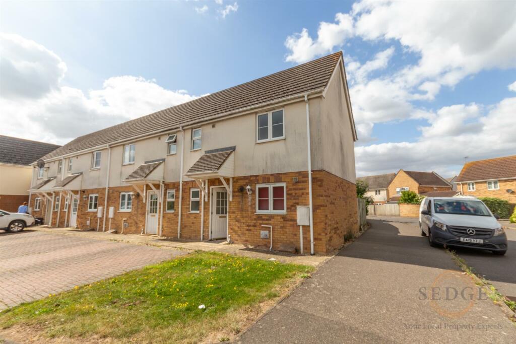 1 swan close-01.jpg