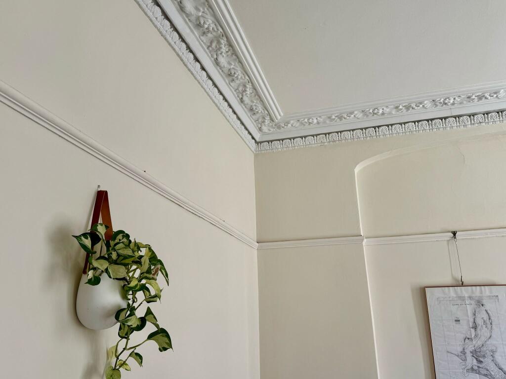Ceiling Plasterwork
