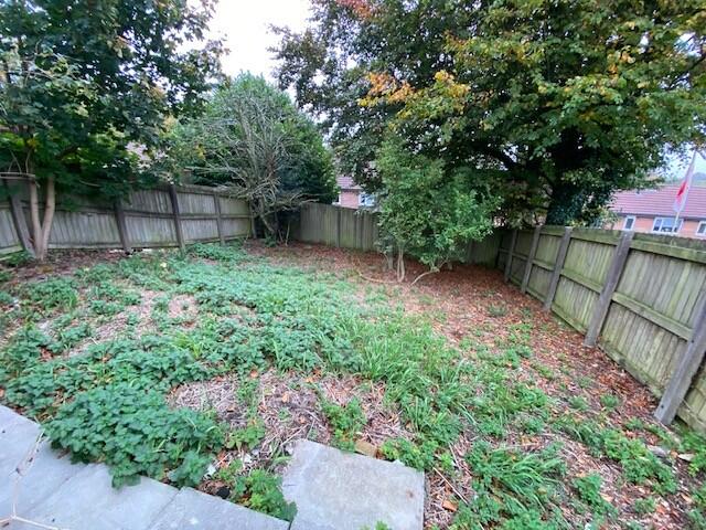 Garden T202510231632.jpg