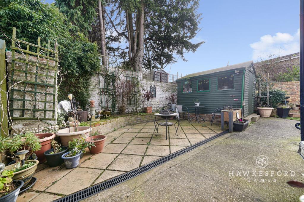 Albion Plane, Newington - Garden