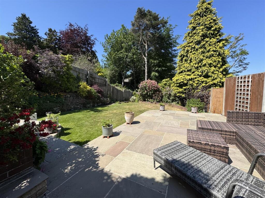 IMG_9500 (Large).JPG