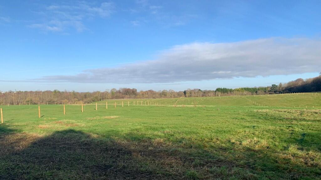 Pasture land.