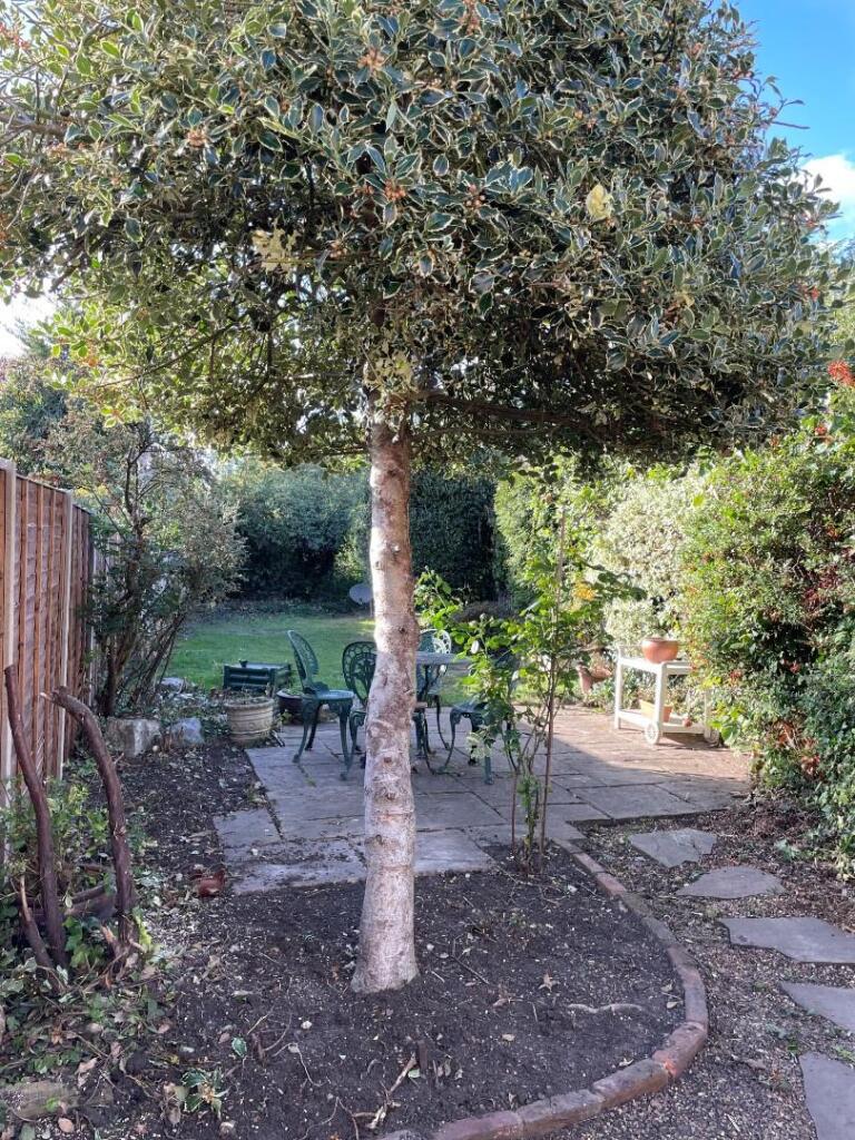 Garden addtional.jpg