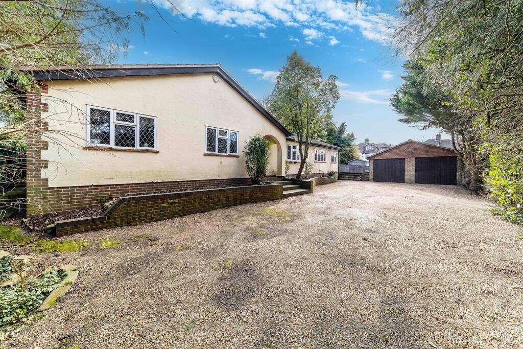 THE SQUIRREL EXTERNALS-2 (1).jpg