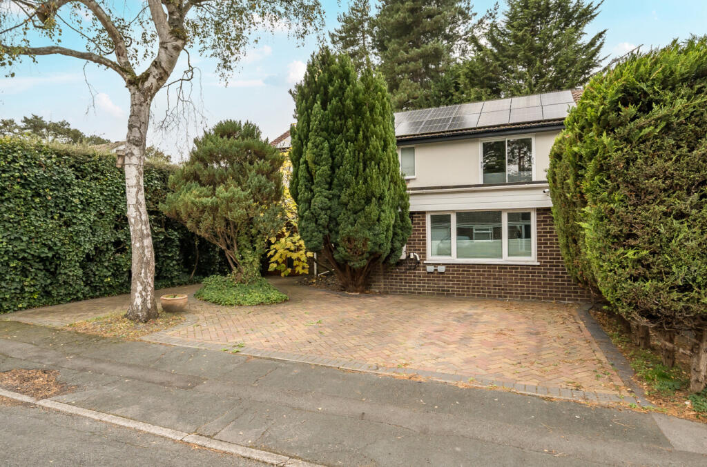 1369584-25-68f245...