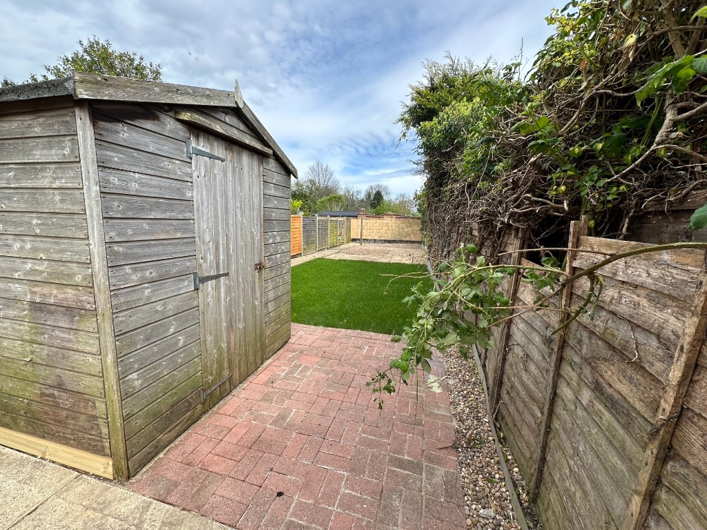 Rear Garden II