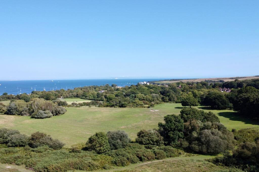 Surrounding heathland