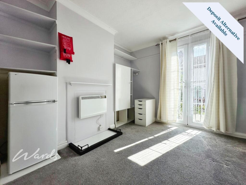 Living/Bedroom Area