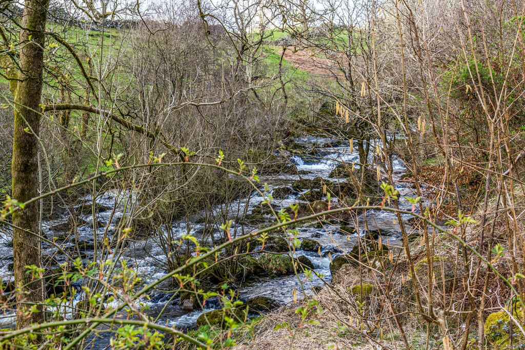 The River Kent