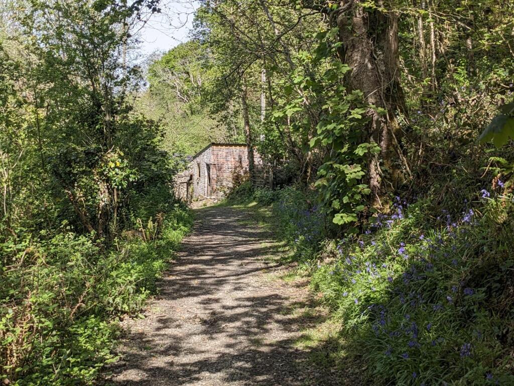 Woodland Path to Outbuilding 2.jpg