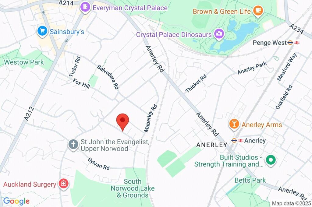 Google Maps Image