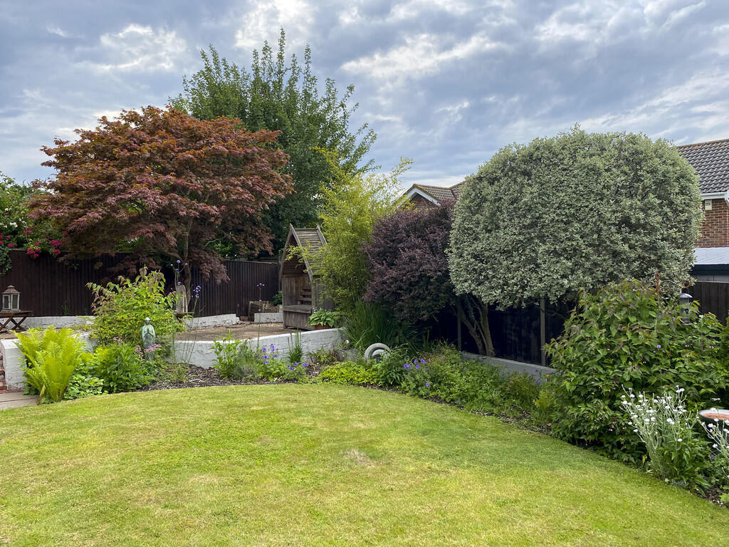 TNo14Garden-13 (0...