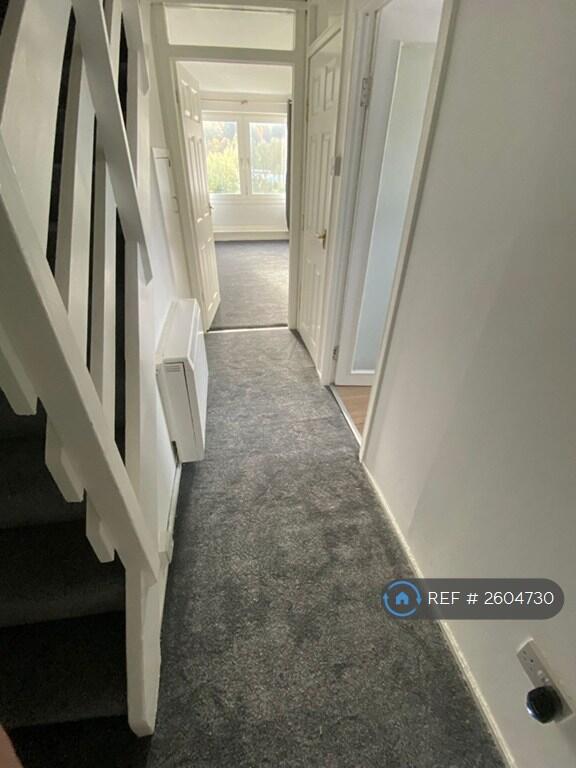 Downstairs Hallway