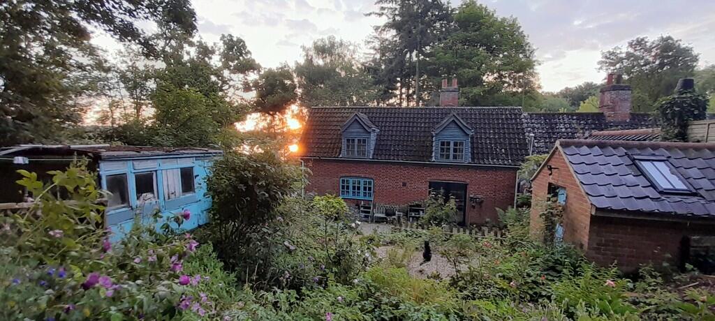 back garden
