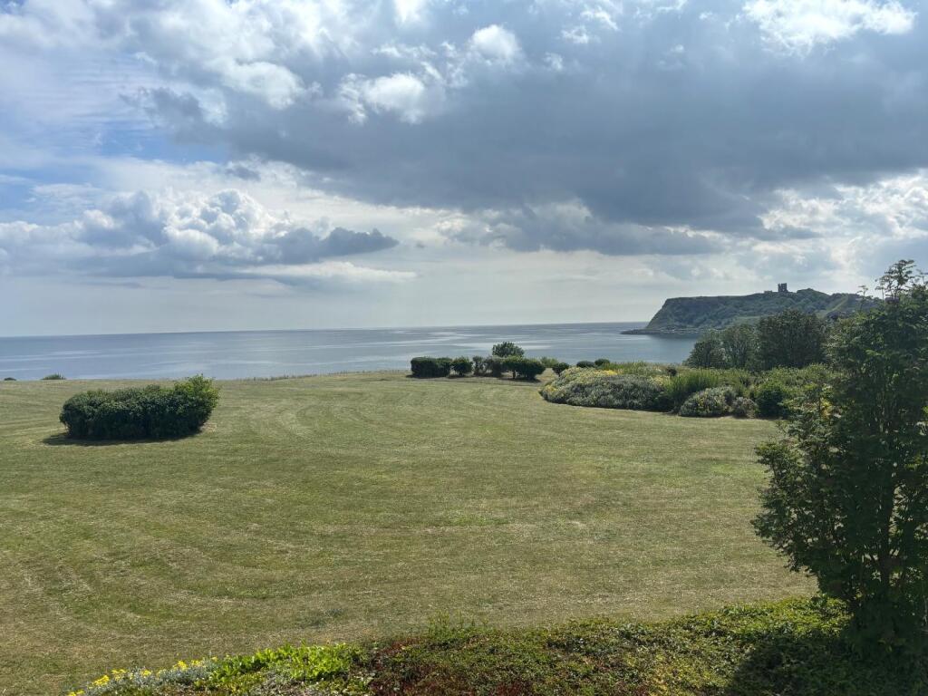view.jpg