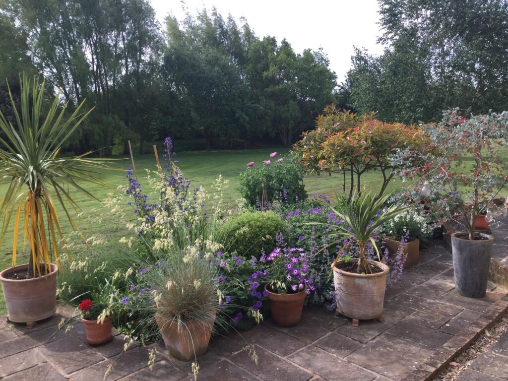 Vendors own photos from Summer