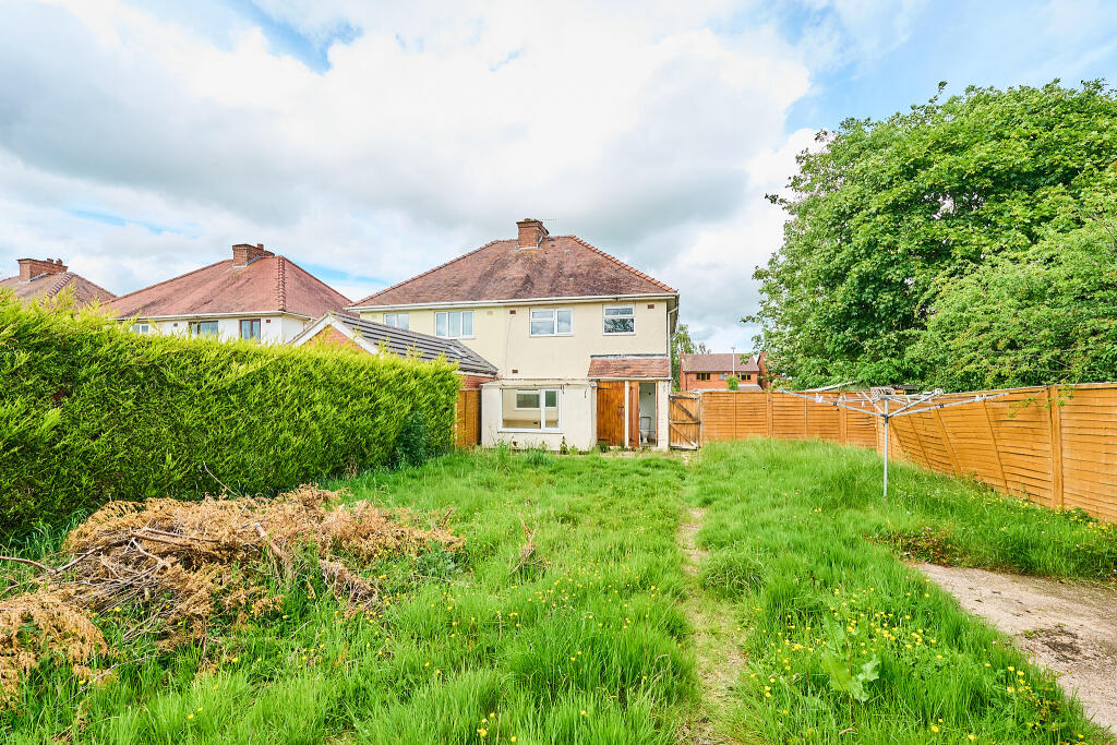 P1462411 T202505302116.jpg